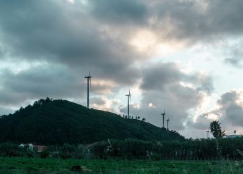 Vattenfall flags declining European energy demand as trade tensions rise