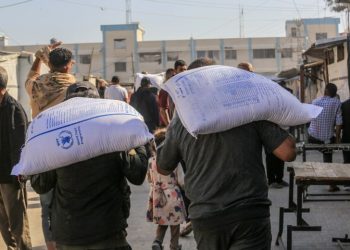 Nearly 80 aid trucks carrying food ransacked in Gaza Saturday, says WFP as famine worsens