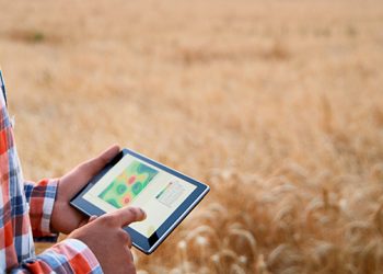 How Smart Agriculture Can Utilize a Satellite API for Earth Observation