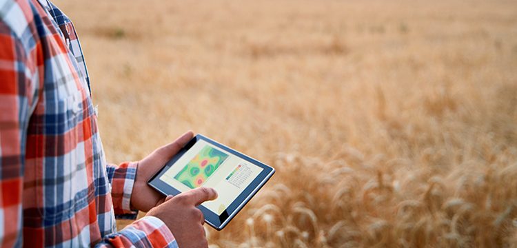How Smart Agriculture Can Utilize a Satellite API for Earth Observation