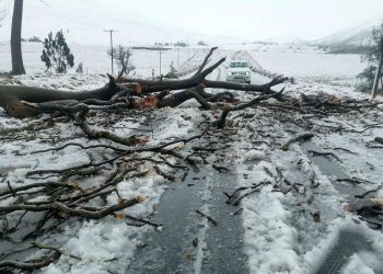 Children swept away in school bus among at least 49 killed in South Africa flooding