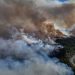 Wildfires sweep through forests in drought-hit Syrian coast in major test for new government