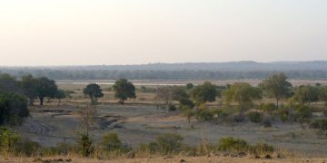 Elephant kills two female tourists from the UK and New Zealand in Zambian national park
