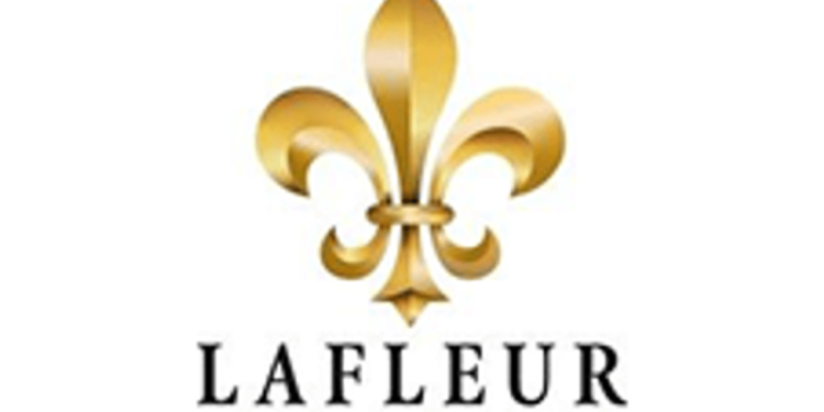 LaFleur Minerals Inc.Taking Key Steps to Advance Position in Prolific Gold Belt