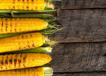 Corn Bulls Take a Breather on Thursday’s Pullback