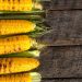 Corn Bulls Take a Breather on Thursday’s Pullback