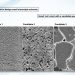 Solving the solvent problem | MIT News