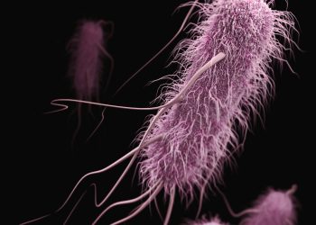 Stanford Evo 2 AI model generates phages against E. coli