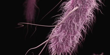 Stanford Evo 2 AI model generates phages against E. coli