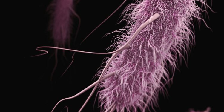 Stanford Evo 2 AI model generates phages against E. coli