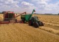 Wheat Fades Lower into the Weekend