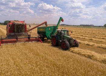 Wheat Fades Lower into the Weekend