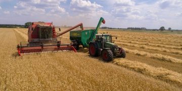 Wheat Fades Lower into the Weekend