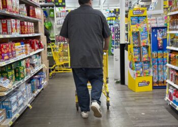 Dollar General CEO says its core customers are in distress