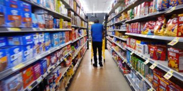 Dollar General quietly builds an entirely new way to serve customers