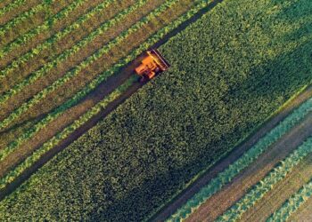 Agricultural harvesting at the last light of day, aerial view.