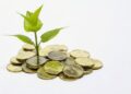 A close up color image of a small green plant sprouting out of a pile of Canadian dollar coins "loonies."