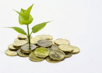 A close up color image of a small green plant sprouting out of a pile of Canadian dollar coins "loonies."