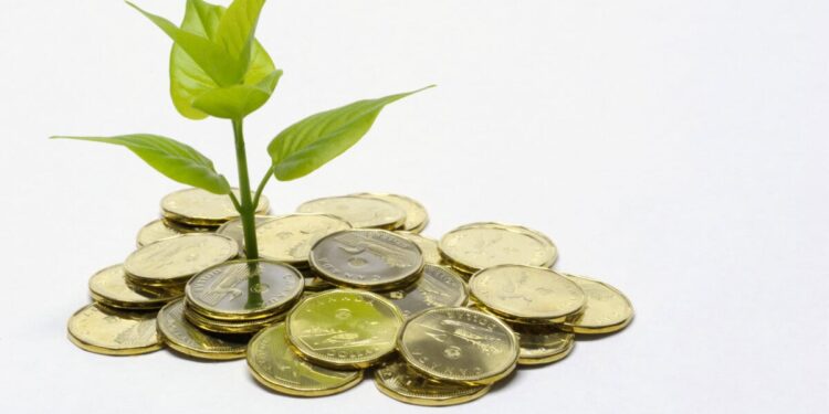A close up color image of a small green plant sprouting out of a pile of Canadian dollar coins "loonies."