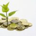 A close up color image of a small green plant sprouting out of a pile of Canadian dollar coins "loonies."