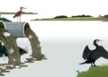 The House Opinion Article | The Choices Facing Burnham's Government On Water