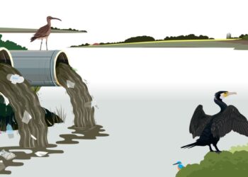The House Opinion Article | The Choices Facing Burnham's Government On Water