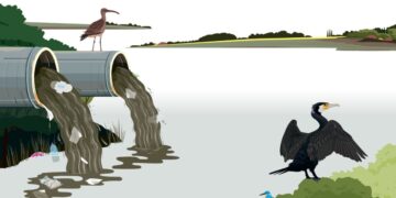 The House Opinion Article | The Choices Facing Burnham's Government On Water