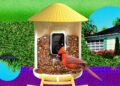 The Smart Bird Feeders Everyone’s Talking About (and Actually Buying) (2026)