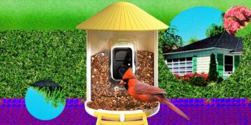 The Smart Bird Feeders Everyone’s Talking About (and Actually Buying) (2026)