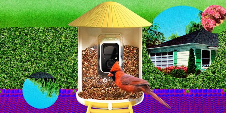The Smart Bird Feeders Everyone’s Talking About (and Actually Buying) (2026)