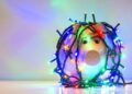 Piggy bank wrapped in Christmas string lights